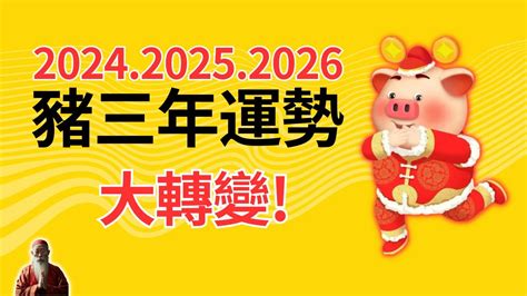 屬豬 幸運色|【豬 幸運色】屬豬2024年走大運！最旺幸運色、禁忌。